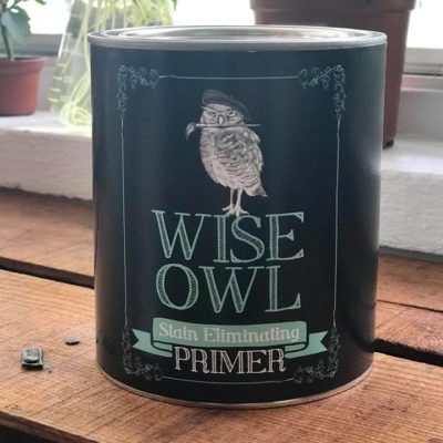 Cactus Blossom Furniture Salve  Wise owl paint, Wise owl, Salve